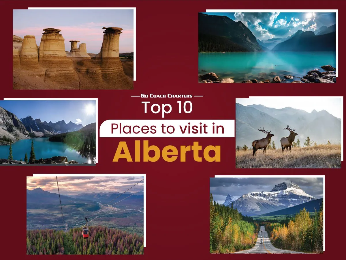 Sports Team Bus Rental detail 3