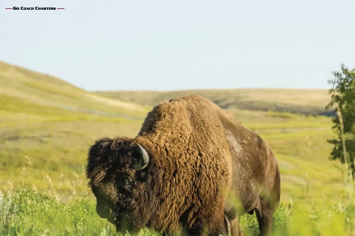 Saskatchewan Group Trip Ideas from Alberta detail 3