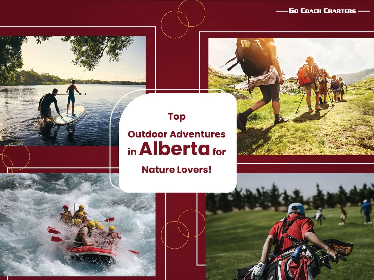 Wedding Bus Rental detail 3