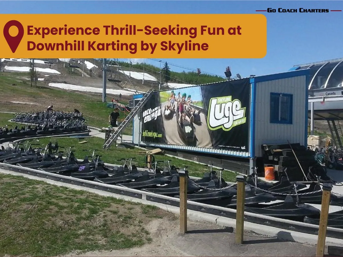 Calgary Group Activities & Things to Do — Itinerary Ideas detail 3