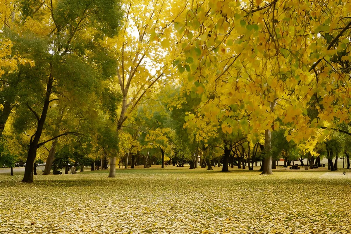 Edmonton Family Reunion Destinations — Venue Ideas with Bus Logistics detail 2