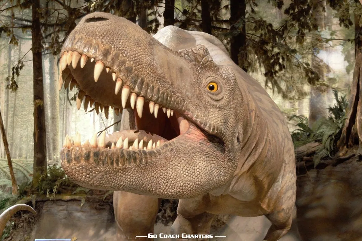 Edmonton Family Reunion Destinations — Venue Ideas with Bus Logistics detail 3