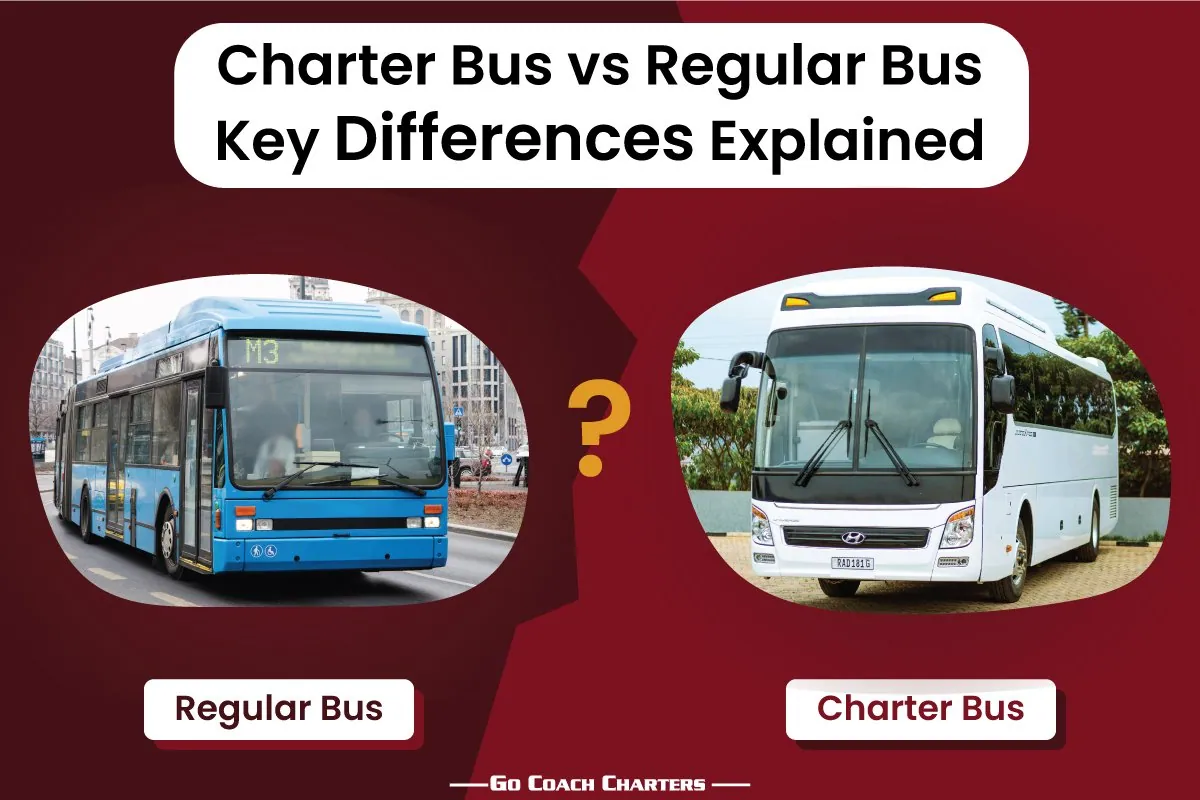 Charter bus vs mini bus comparison