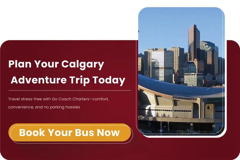 School Trip Bus Rental detail 2